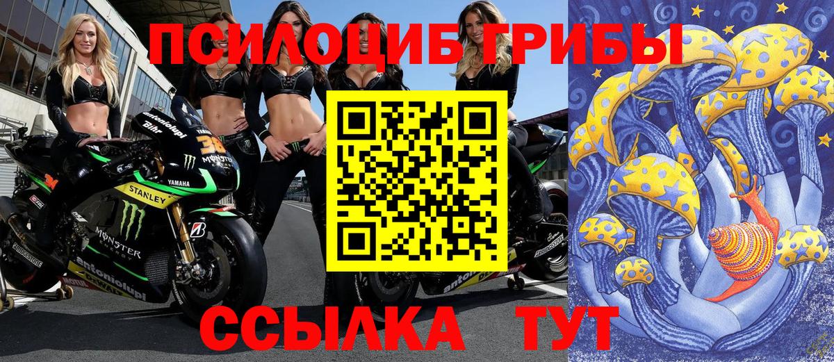Галлюциногенные грибы Psilocybe Вятские Поляны