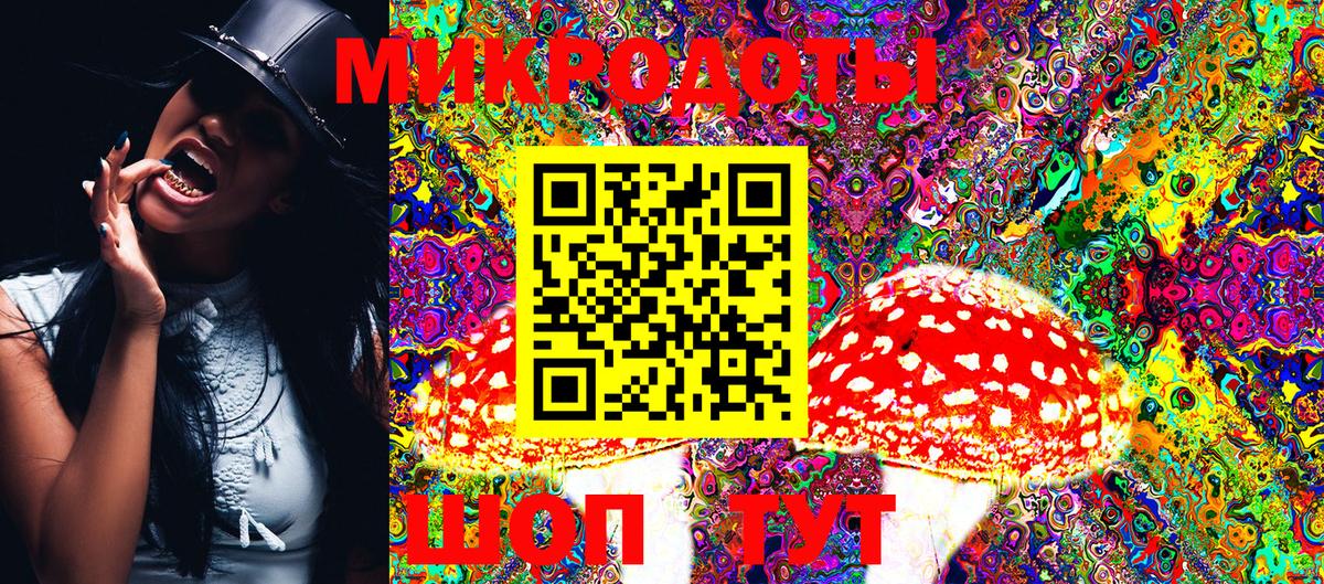 Псилоцибиновые грибы Psilocybe  Галлюциногенные грибы прущие грибы  дарнет шоп  Вятские Поляны  Вход с VPN 